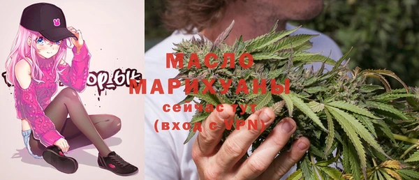 дмт Заводоуковск