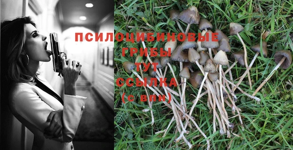 дмт Заводоуковск